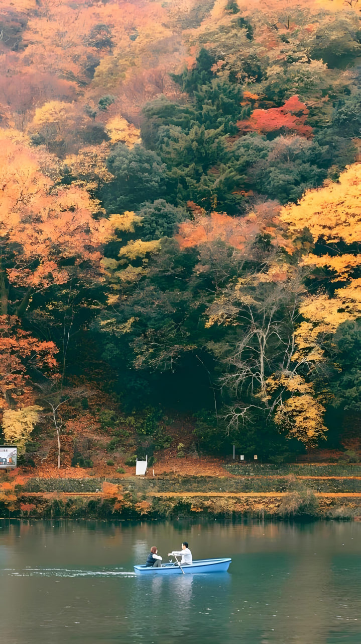 仙缘情深